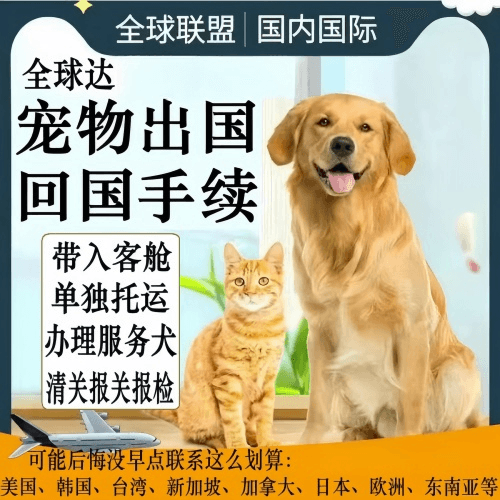 海口市宠物托运到柬埔寨宠物入境规定和要求