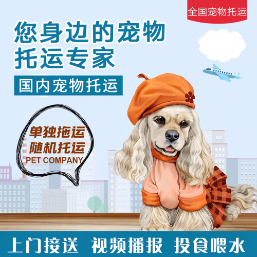 满财海口市宠物全球达宠物托运作为专业的宠物运输代理机构